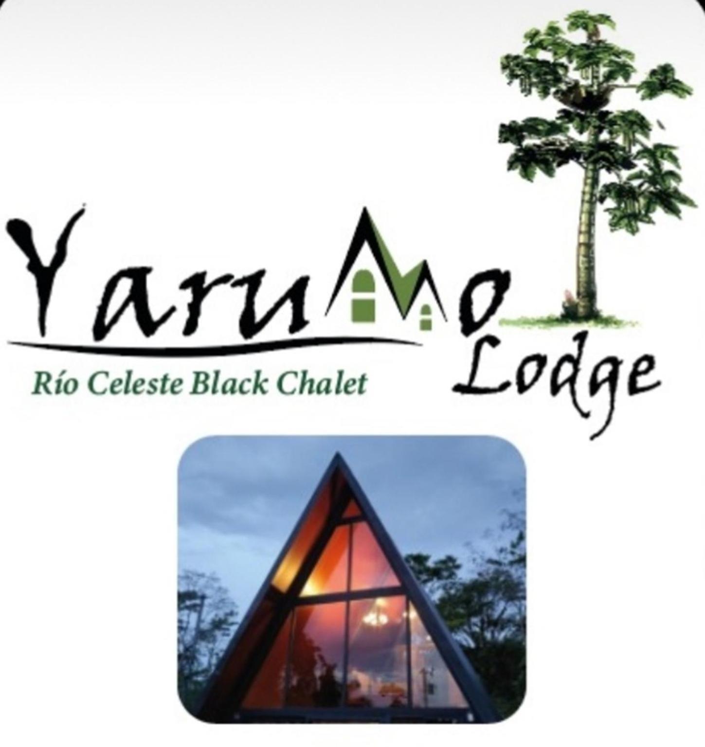 Yarumo Lodge, Rio Celeste Black Chalets Bijagua Ngoại thất bức ảnh